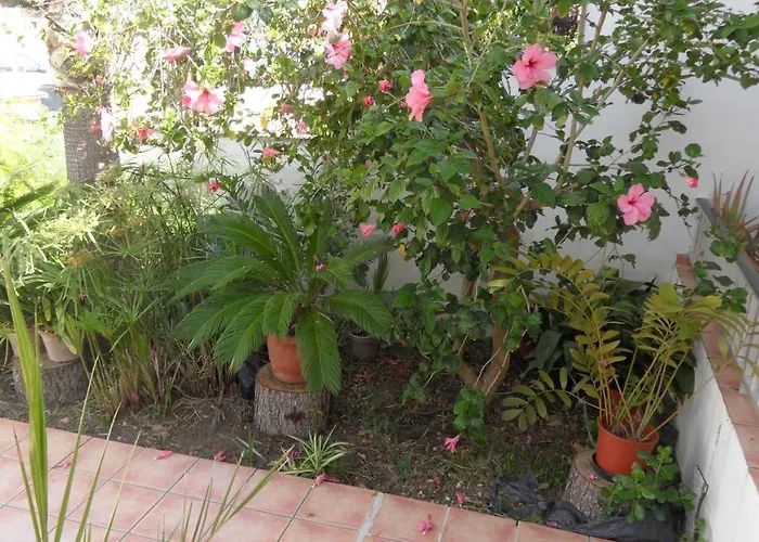 Cyclings Es Tamarells * Кан-Пікафорт