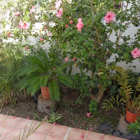 Es Tamarells Blue * Can Picafort (Mallorca)