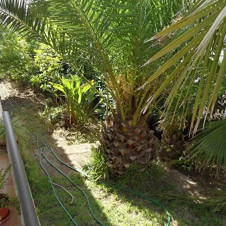 Es Tamarells Blue * Can Picafort (Mallorca)