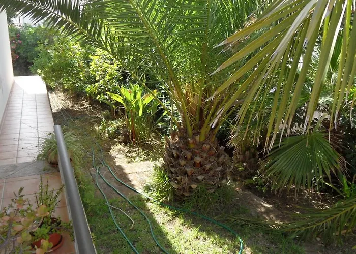 Es Tamarells Blue * Can Picafort (Mallorca)